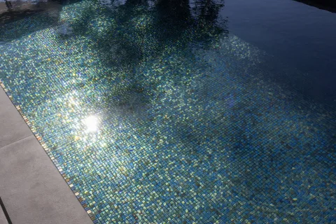 Schillerndes Perlmuttmosaik unter Wasser, Sonnenreflex und Baumspiegelung